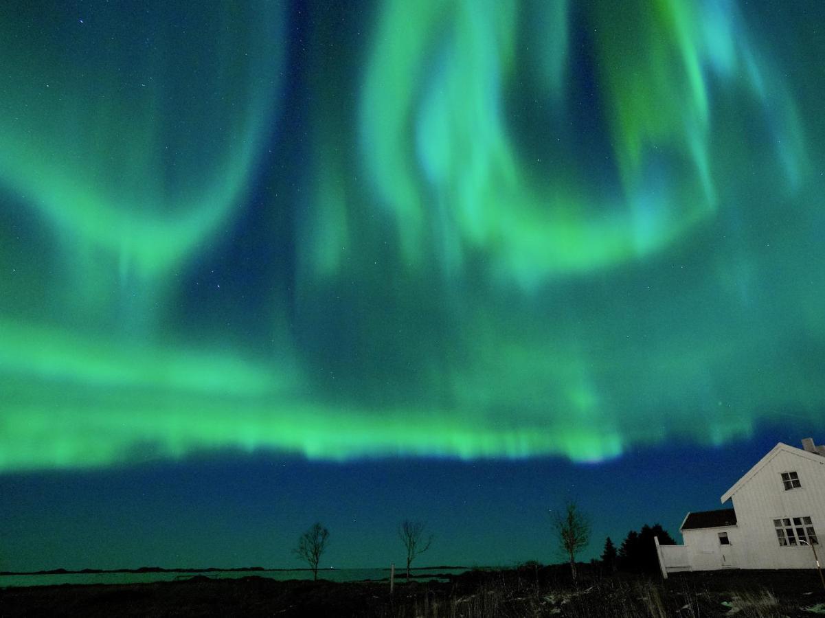 Lofoten Troll View Bostad Zewnętrze zdjęcie